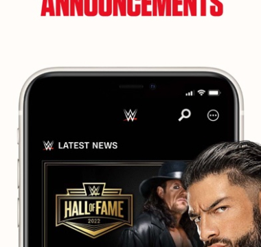 WWE Screenshot 1