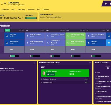 Football Manager 2019 Screenshot 5