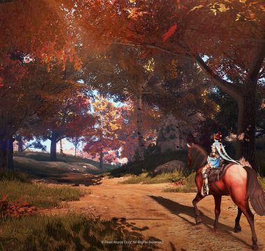 Black Desert Screenshot 5