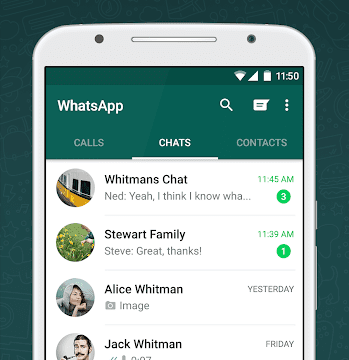 WhatsApp Messenger Screenshot 1